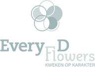 everyD Flowers